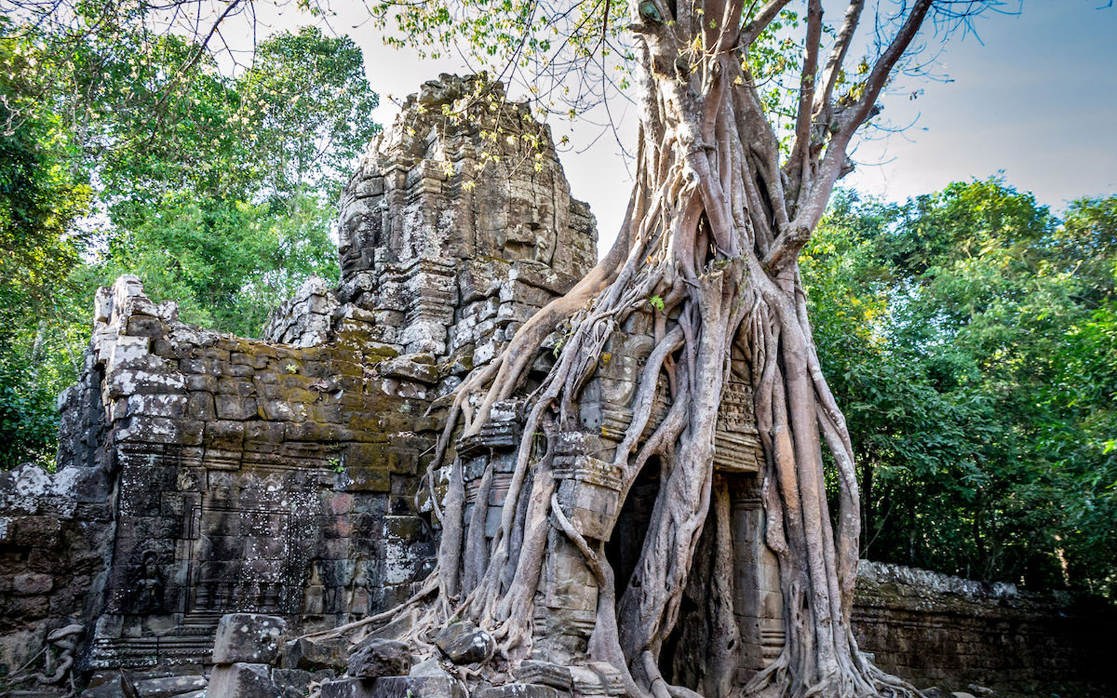 Dream Mekong